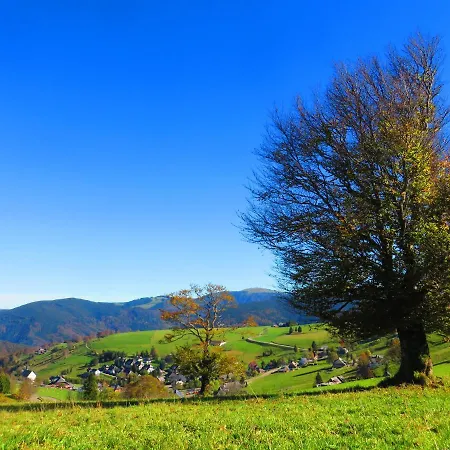 Gastehaus Sport Rees * Oberried (Breisgau)